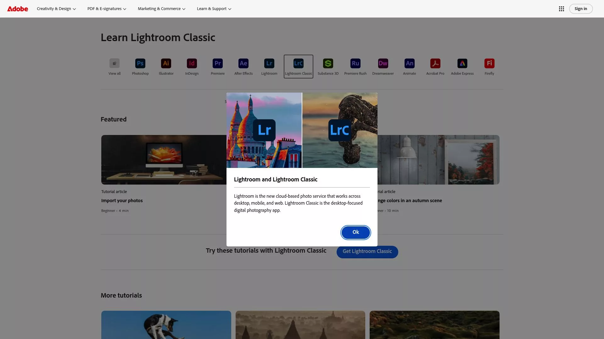 Screenshot of Adobe Lightroom interface showing basic sliders for exposure, contrast, and white balance adjustments.