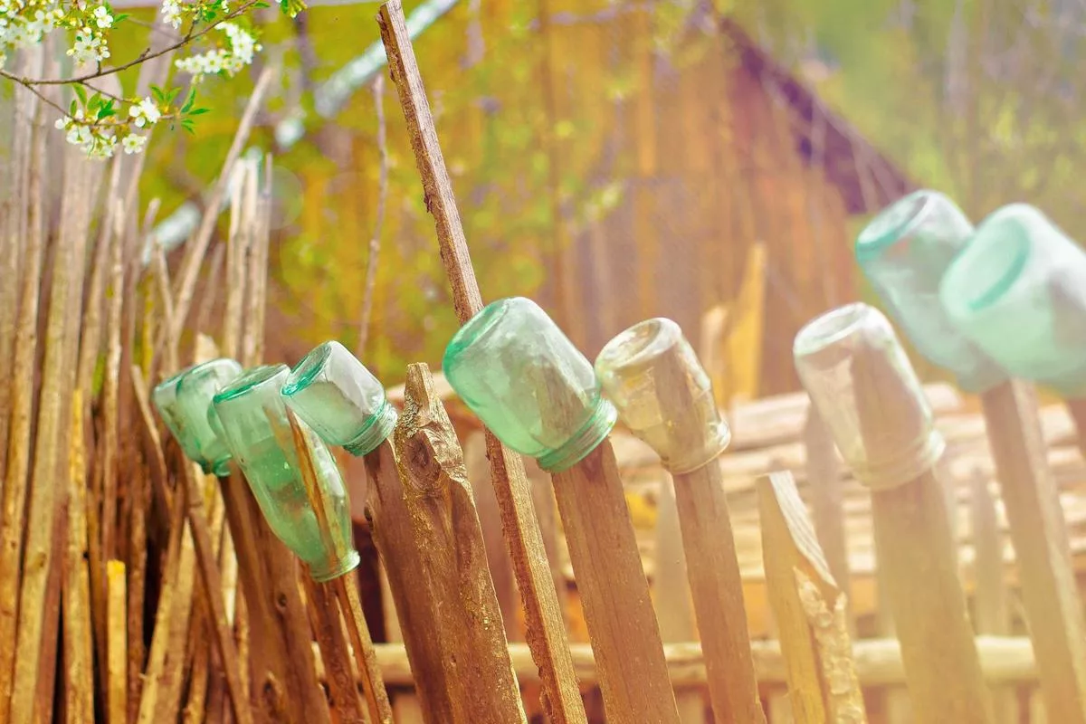 Glass bottles attached to wooden posts in a natural setting.