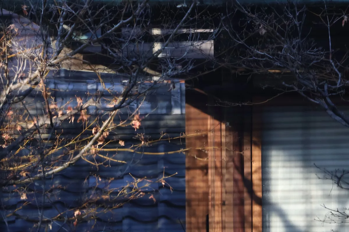 A cat sitting on top of a wooden fence next to a building